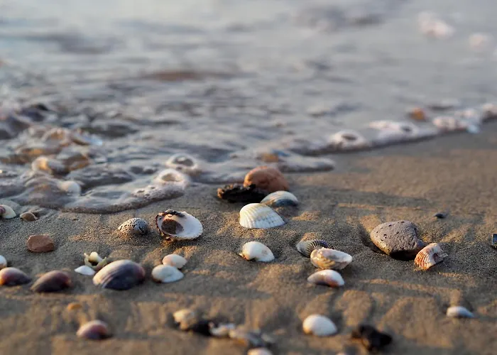 Apartment Cozy Flat Near The Bibione